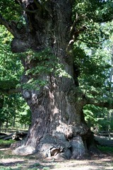 Killikus&reg; Fotographie